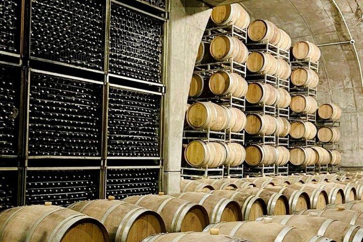 ウコバレーのプライベートワインツアー：ワイナリー3軒、マルベックの試飲と送迎