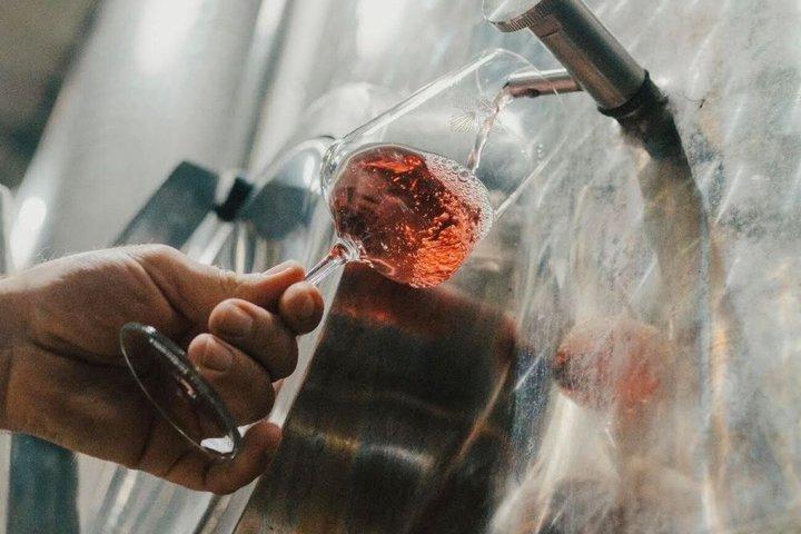 ウコバレーのプライベートワインツアー：ワイナリー3軒、マルベックの試飲と送迎