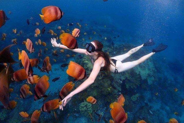 Privates Bali Blue Lagoon Schnorcheln mit Mittagessen
