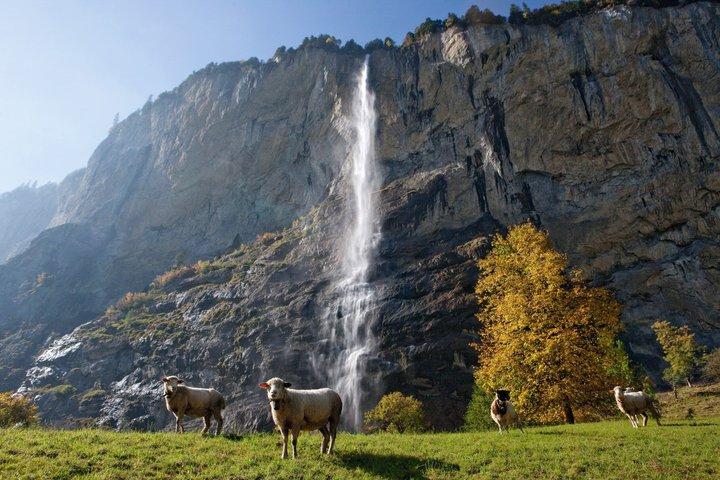 Grindelwald und Lauterbrunnen Geführter Tagesausflug ab Interlaken