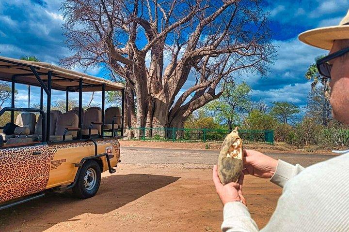 Safari Baobab 4x4 vicino a Victoria Falls *solo per piccoli gruppi *D-F-ES