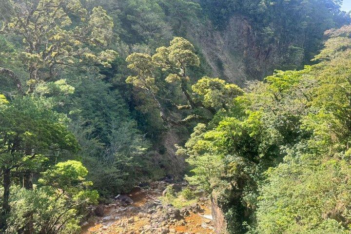 ナマケモノ観察、ミラバジェス火山、温泉、隠れた滝