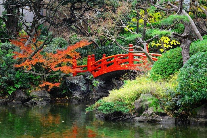 Excursão cultural de dia inteiro de Nagoya com Guia de lanches locais e carro AC