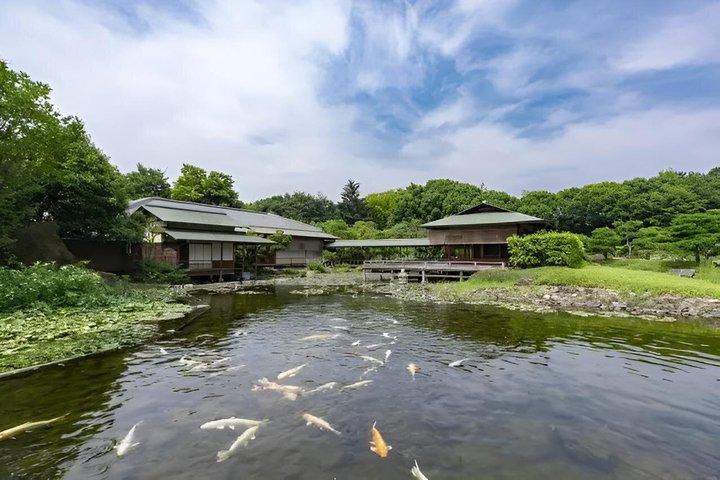 Excursão cultural de dia inteiro de Nagoya com Guia de lanches locais e carro AC