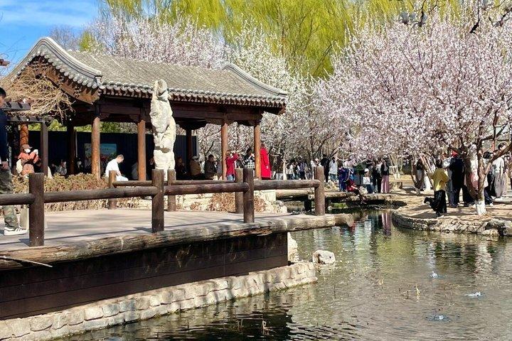 北京胡同小グループツアー時を歩く