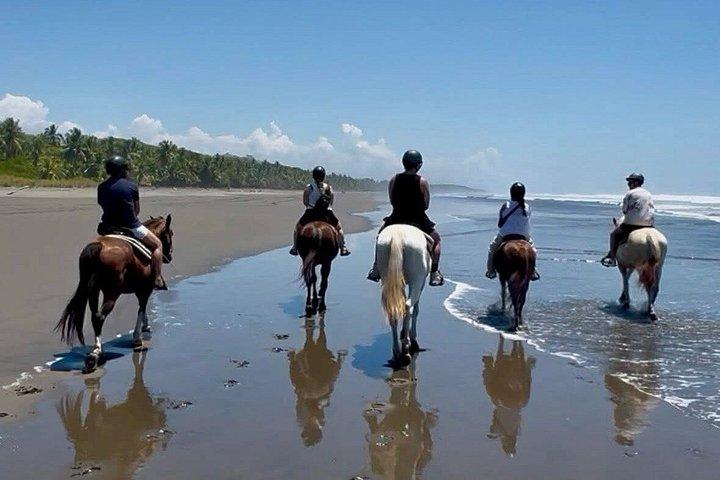 ジャコ近郊のエステリーリョスのビーチを乗馬
