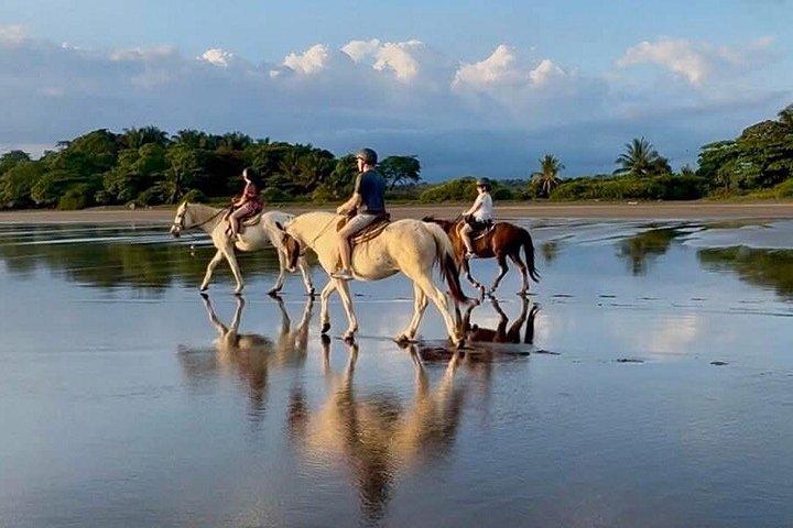 ジャコ近郊のエステリーリョスのビーチを乗馬