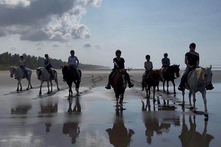 ジャコ近郊のエステリーリョスのビーチを乗馬