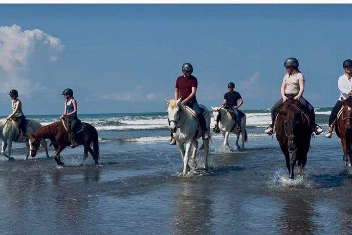 ジャコ近郊のエステリーリョスのビーチを乗馬