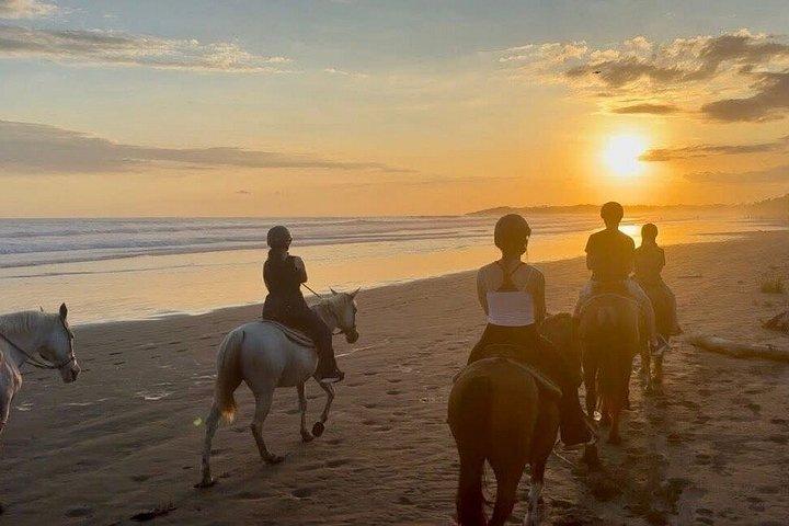 ジャコ近郊のエステリーリョスのビーチを乗馬