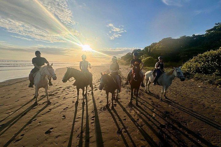 ジャコ近郊のエステリーリョスのビーチを乗馬