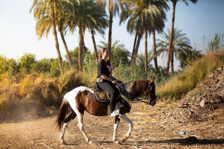 Reittour durch das ländliche Luxor Ostseite