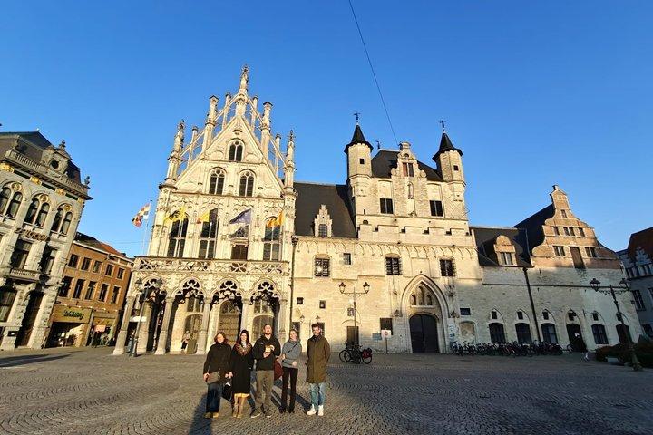 Tour storico a piedi di Mechelen con Guida locale