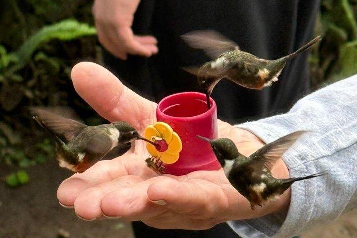 キト発、ミンド島プライベート日帰りツアー