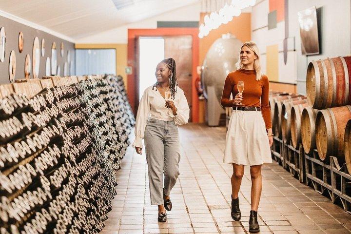 Città del Capo mezza giornata Stellenbosch Bubbly Wine e Biltong Tour