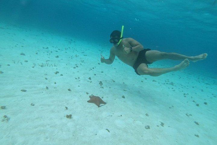 Snorkeling Shared Sky Tour in Cozumel with C