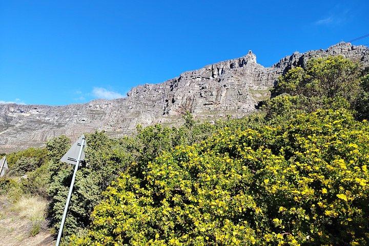 Table Mountain Fast Track Tickets Plus Cape Town City Tour