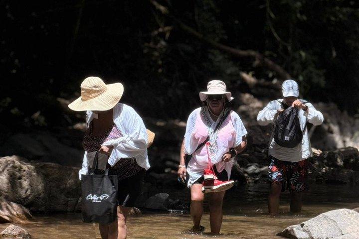Embera Indigenous Village & Waterfall Tour with Lunch