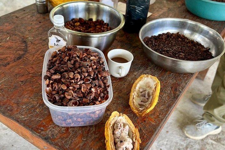 Indigenous Heritage Trekking in Minca : Cocoa, Cafe & Waterfall