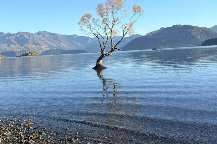 Wanaka og Cromwell Private Tour, Scenic Day Trip fra Queenstown