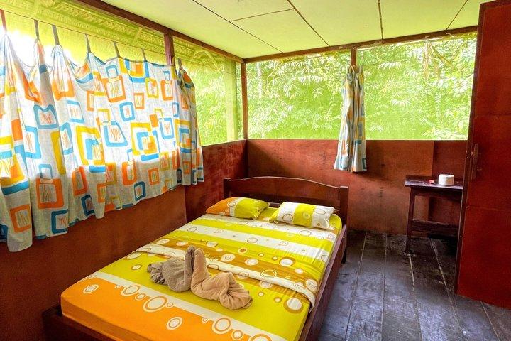 3-Day Jungle Immersion from Iquitos | Brisa Tropical