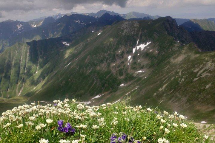 Dagsvandring PRIVAT - Fagarasberget