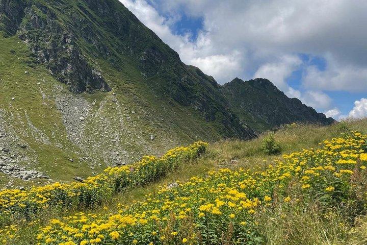 5つの地域のすべてのレベルのカルパティア山脈での日帰りハイキング