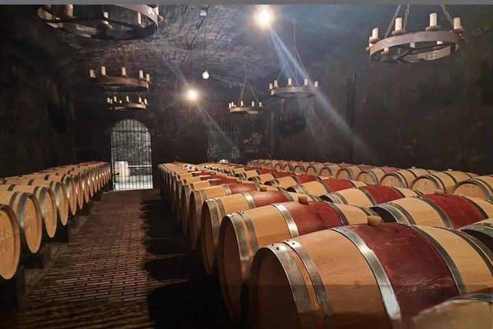 Tour privé demi journée Châteauneuf du Pape depuis Avignon