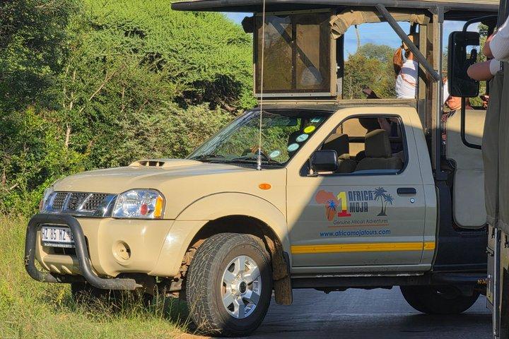Kruger National Park. 3 dage bedst nogensinde Safari fra Cape Town