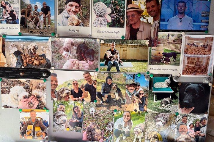 Truffle Hunting Experience Siena Tartufi