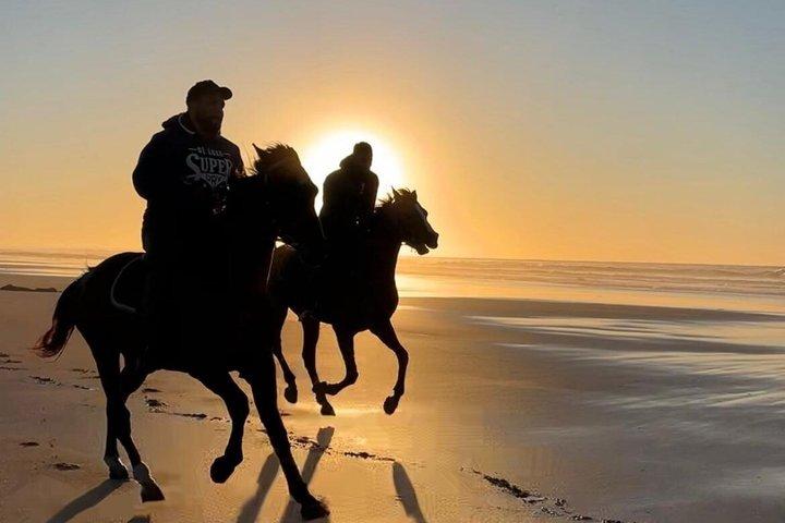 Casablanca Beach Horseback Riding Experience with Hotel Transfers
