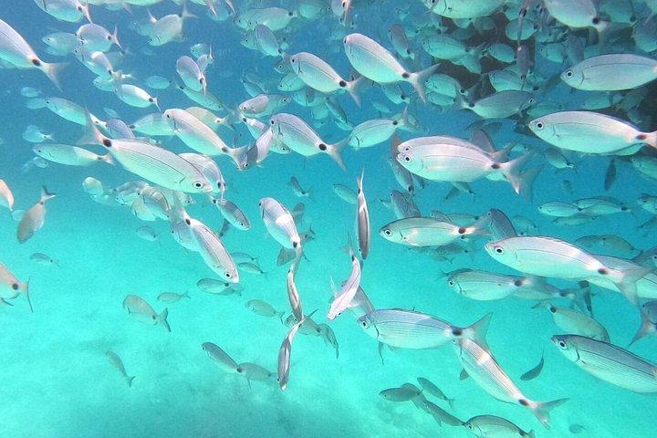 レフキミサンセットクルーズからブルーラグーンへ