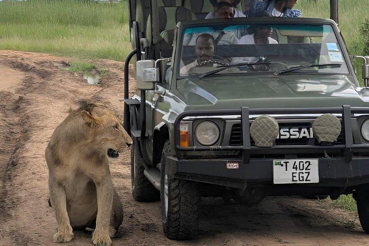 Gita di un giorno al Parco Nazionale di Mikumi Da Dar es salaam in treno Sgr