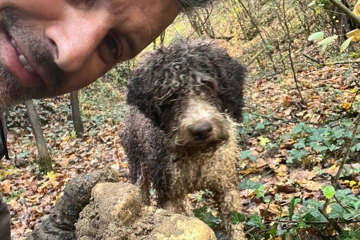 Truffle Hunting Experience Siena Tartufi