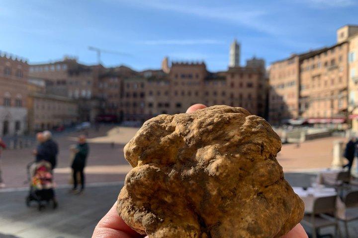 Truffle Hunting Experience Siena Tartufi