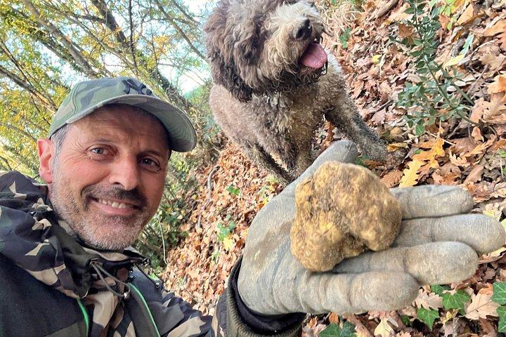 Truffle Hunting Experience Siena Tartufi