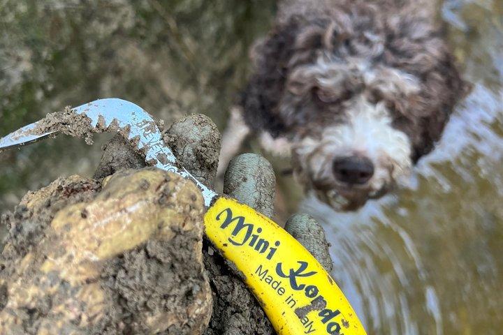 Truffle Hunting Experience Siena Tartufi