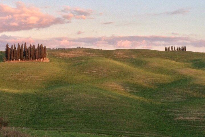 Truffle Hunting Experience Siena Tartufi
