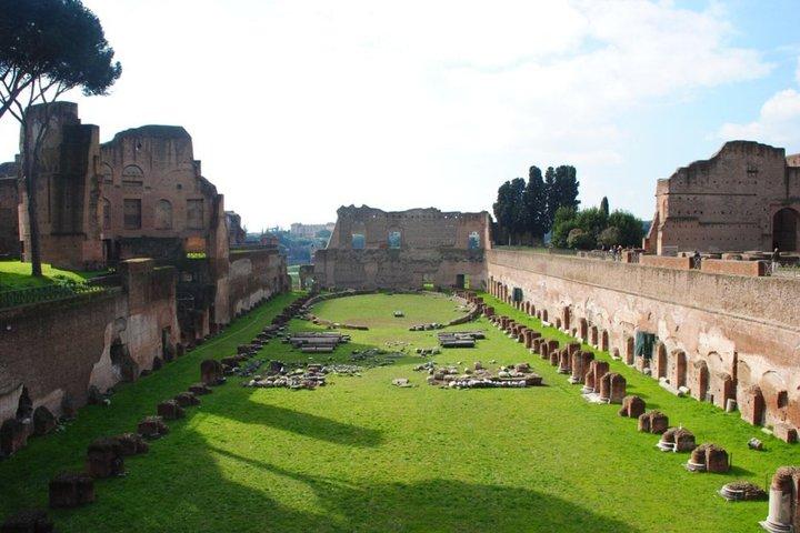 Visite PRIVÉE : Colosseum Arena Floor & Ancient Rome Accès VIP