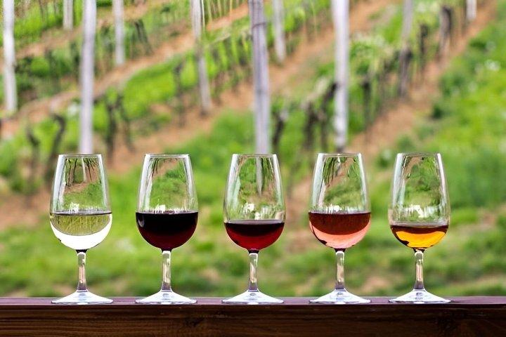 Malibu sorbo y experiencia de vino pintoresco
