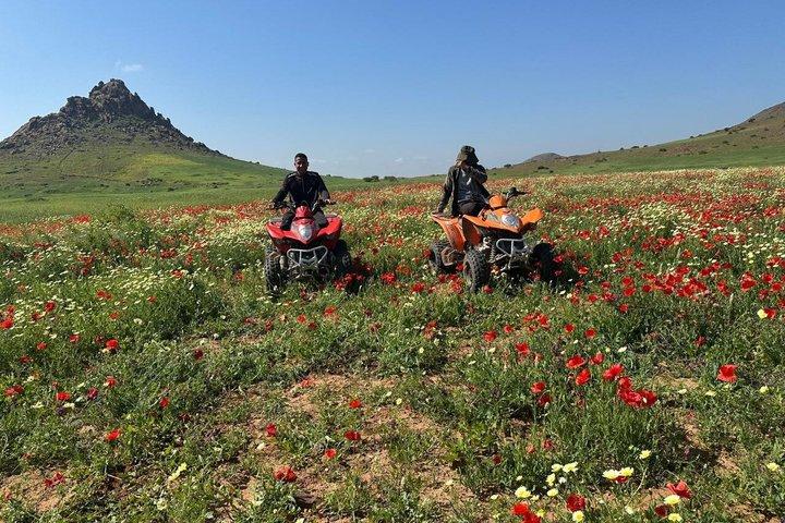 Marrakech Jbilat Mountain Day Trip by Quad with Breakfast and BBQ