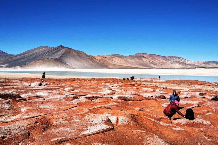 Piedras Rojas Tour Explore Lagunas Altiplanic e Chaxa