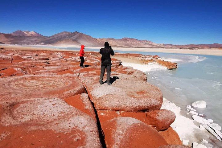 Piedras Rojas Tour Explore Lagunas Altiplanic e Chaxa