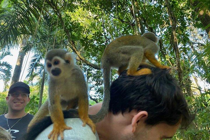 Damajagua 7 waterfalls and monkeys obeservations private van
