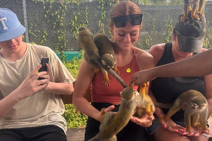 Damajagua 7 waterfalls and monkeys obeservations private van