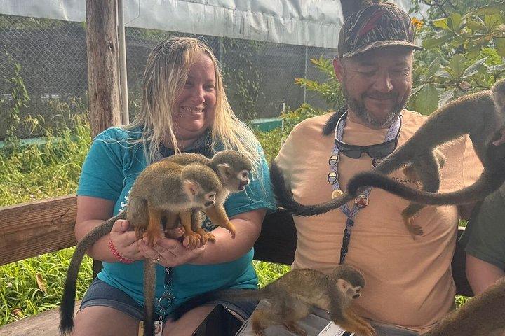 Damajagua 7 waterfalls and monkeys obeservations private van