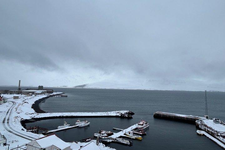 Whale Watching from Akureyri with Roundtrip Transfer