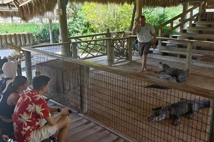 Miami Little Havana Everglades Nationalpark Kleingruppentour
