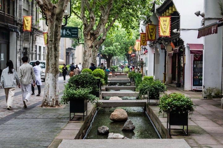 Hangzhoudynastiernas historia och traditionell Kinesiska medicin