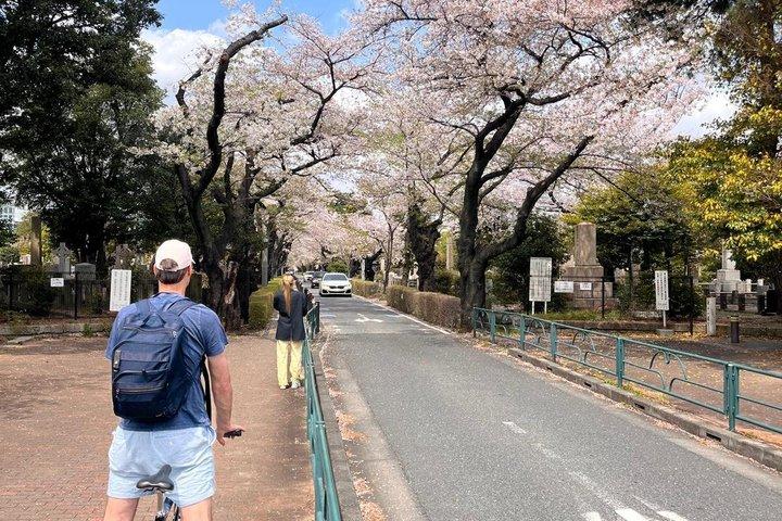 3 - Hr Tokyo Bike Tour : 渋谷の見どころ、裏通り/隠れた名所